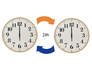 2925201_s.jpg