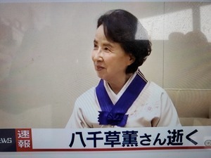 yatigusa.jpg